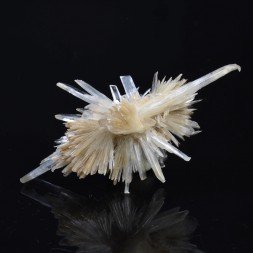 Gypsum - Angervilliers, Essonne, France