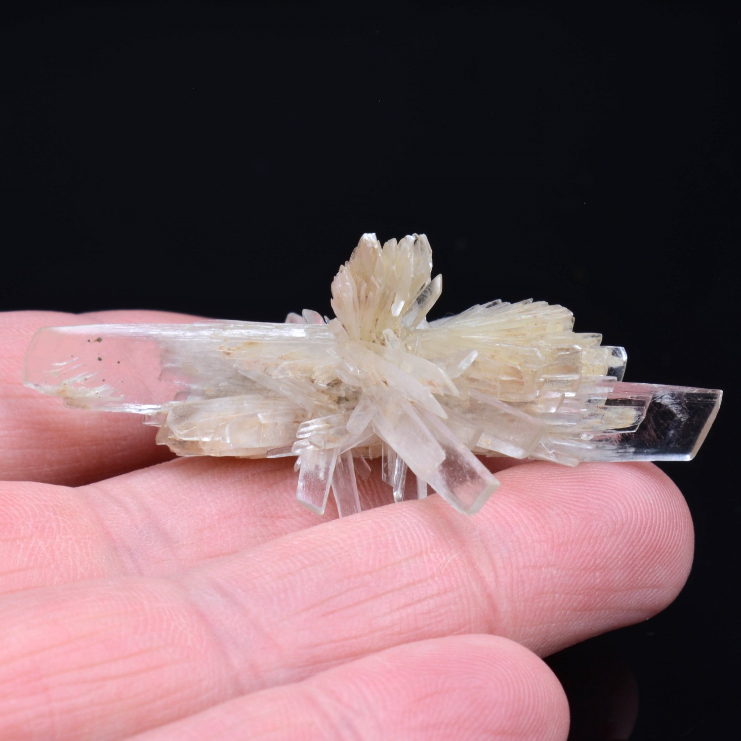 Gypsum - Angervilliers, Essonne, France