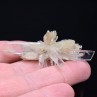 Gypsum - Angervilliers, Essonne, France