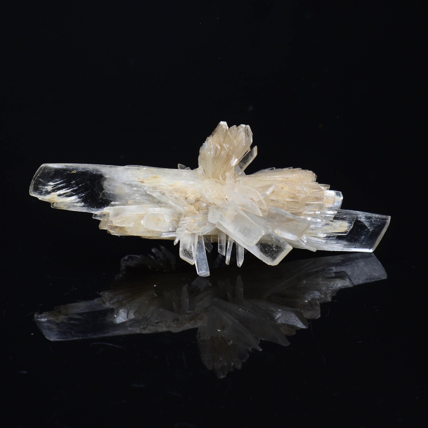Gypsum - Angervilliers, Essonne, France