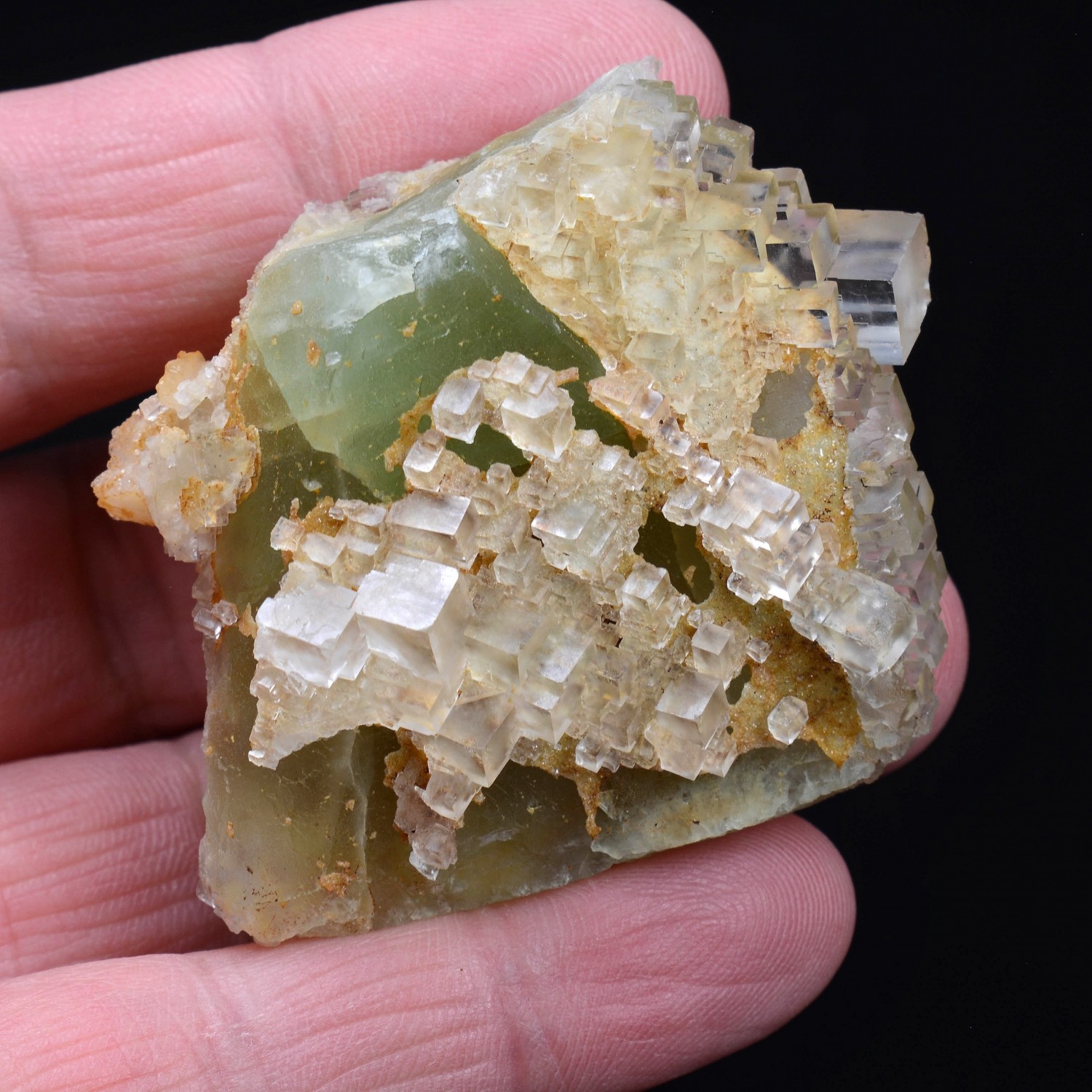 Fluorite - Pratclaux, Haute-Loire, France