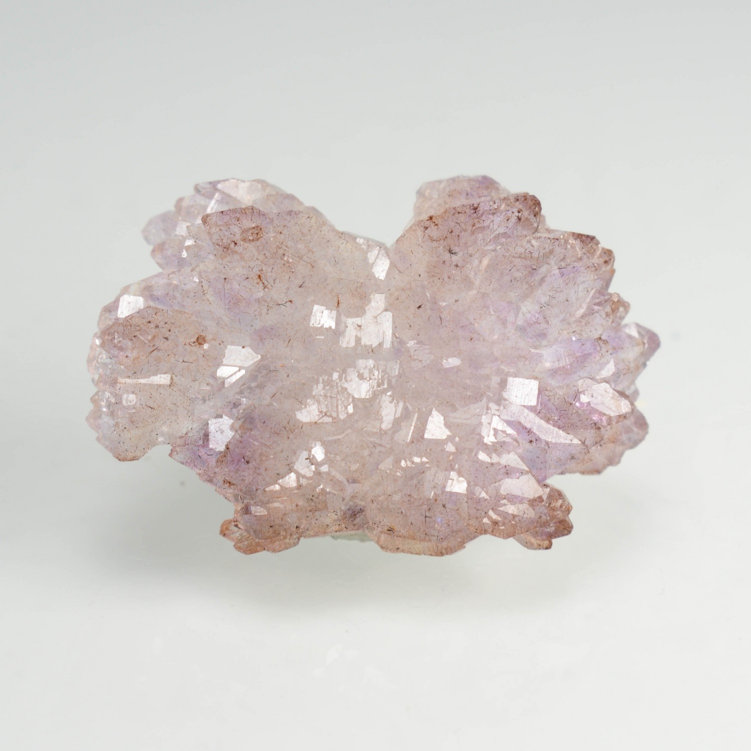 Améthyste - Mine Kakamunurle, Karur, Inde