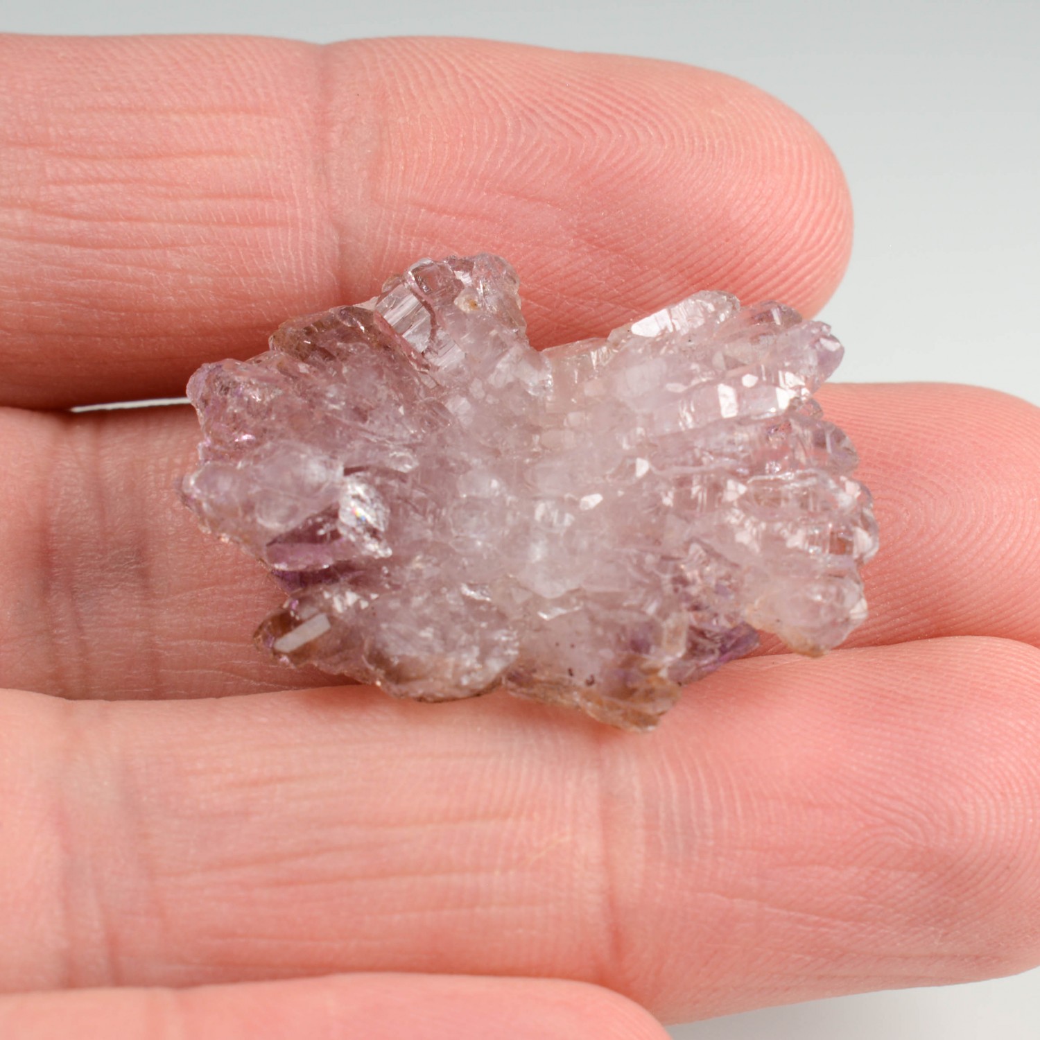 Améthyste - Mine Kakamunurle, Karur, Inde