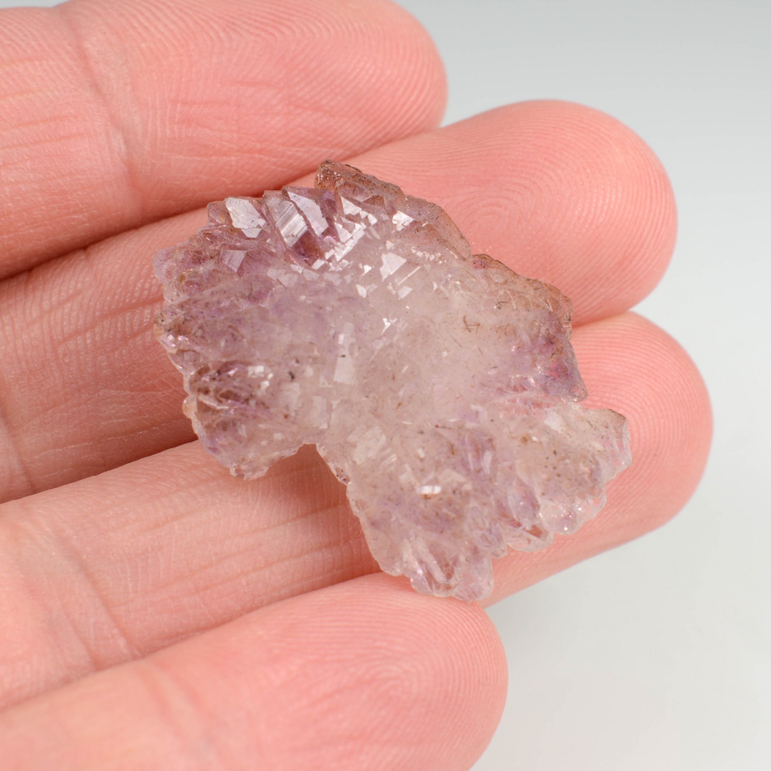 Améthyste - Mine Kakamunurle, Karur, Inde