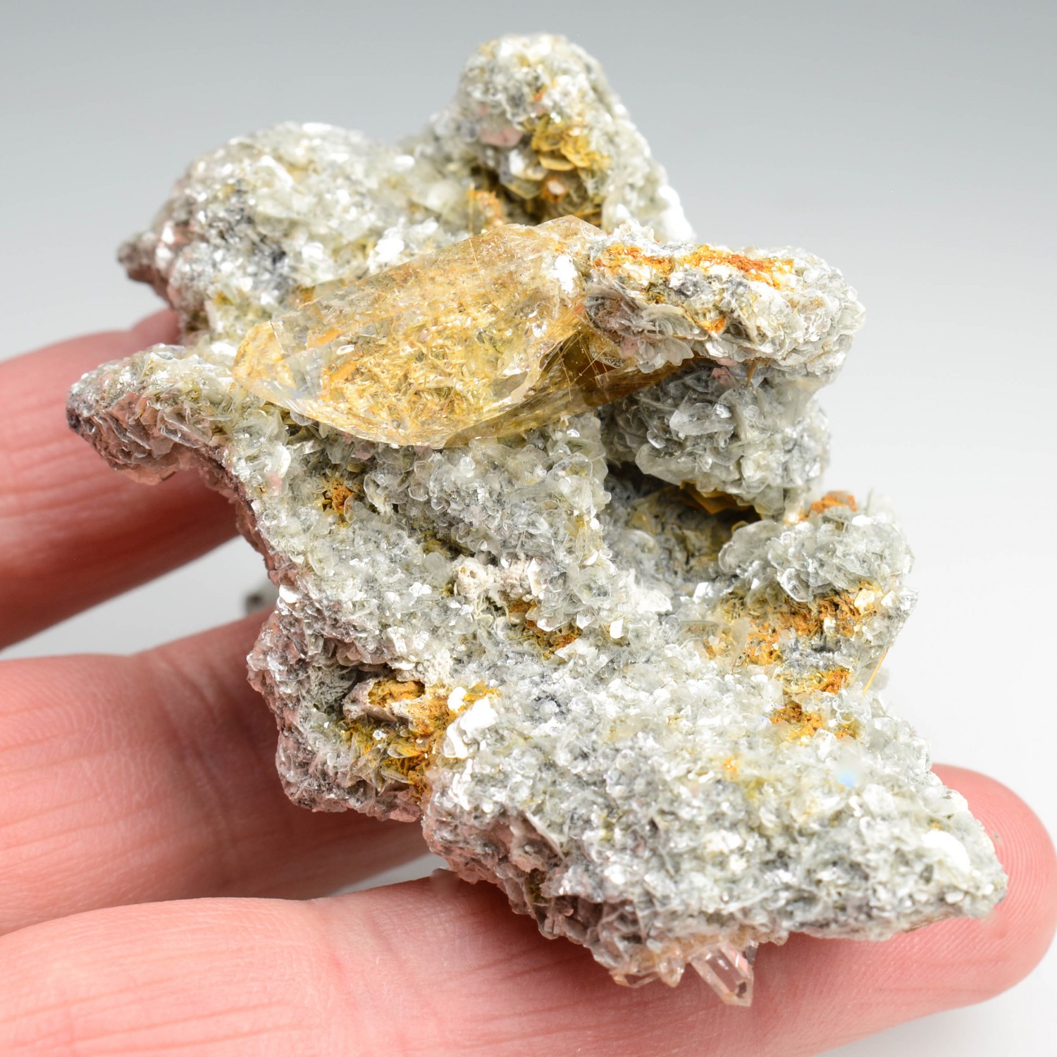 Quart à inclusions de rutile  - Région de Morasco, Val Formazza, Piémont, Italie
