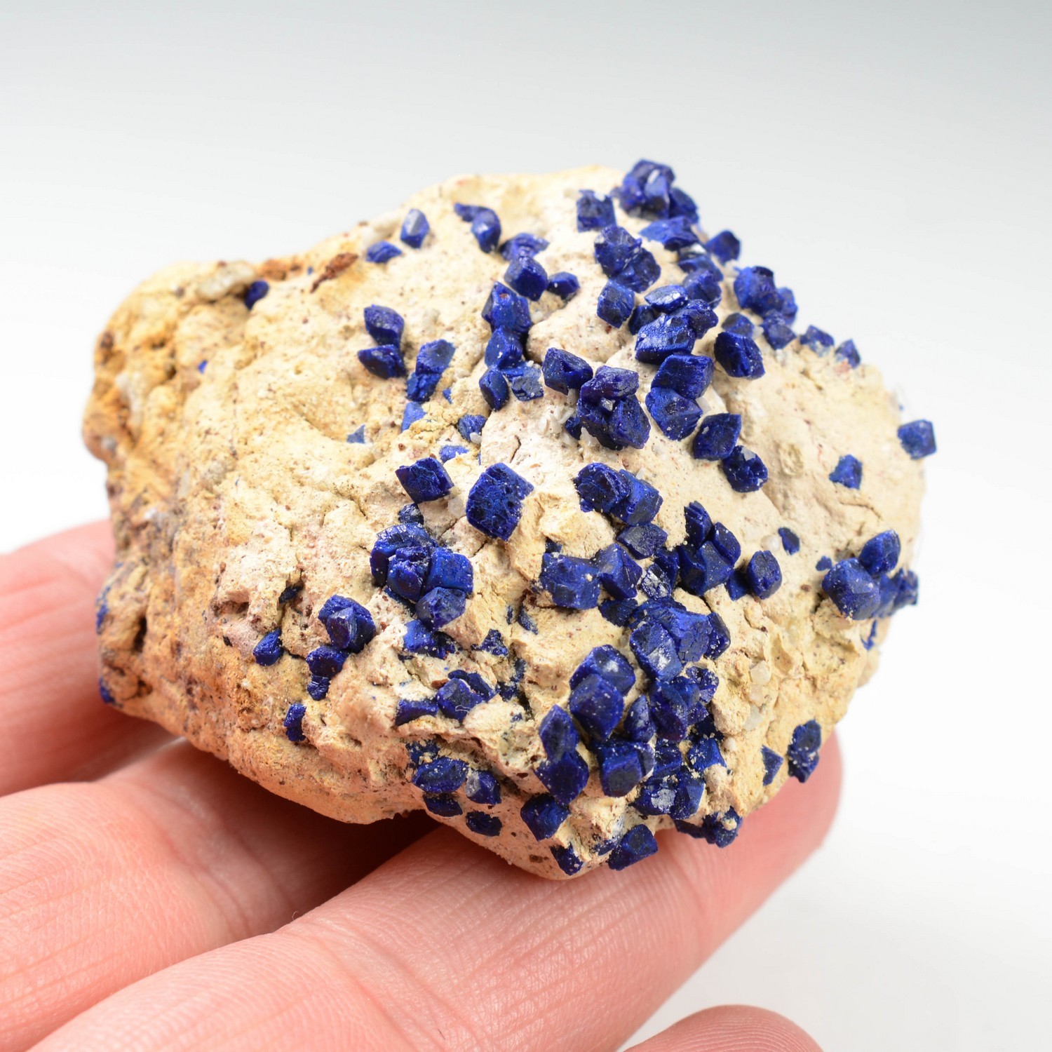 Azurite - Sotoloras, near Nador, Morocco