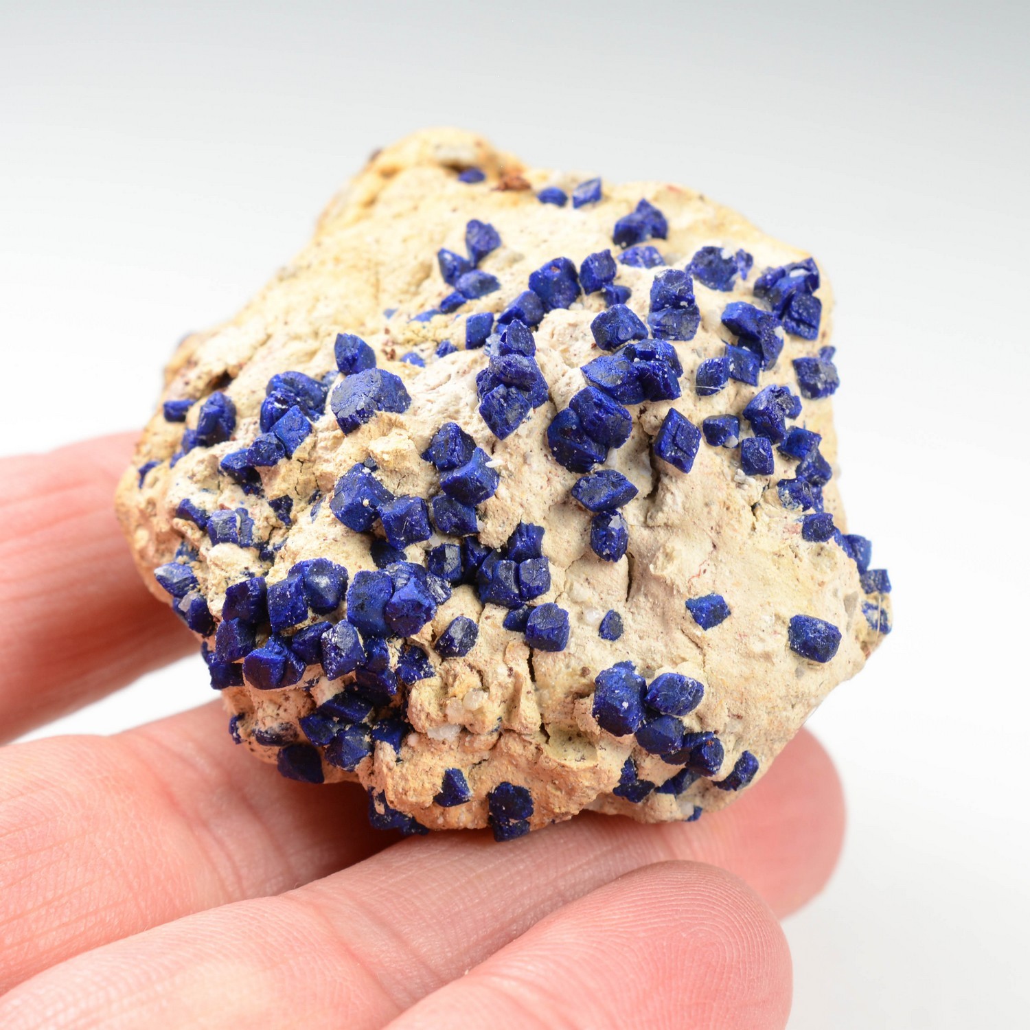 Azurite - Sotoloras, near Nador, Morocco