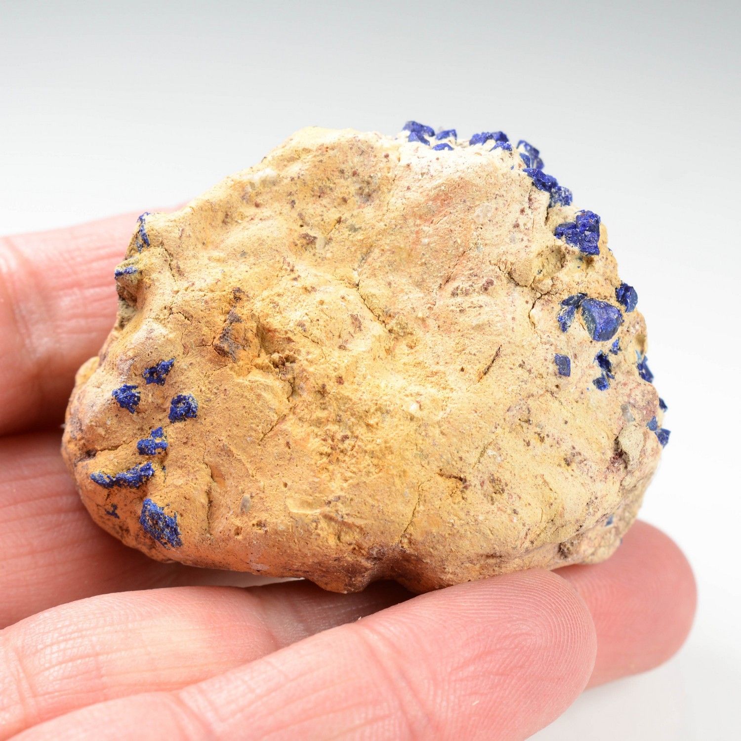 Azurite - Sotoloras, near Nador, Morocco