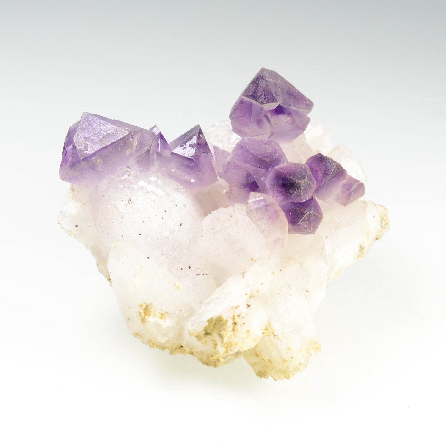 Sceptre amethyst - Marovaolavo, Madagascar