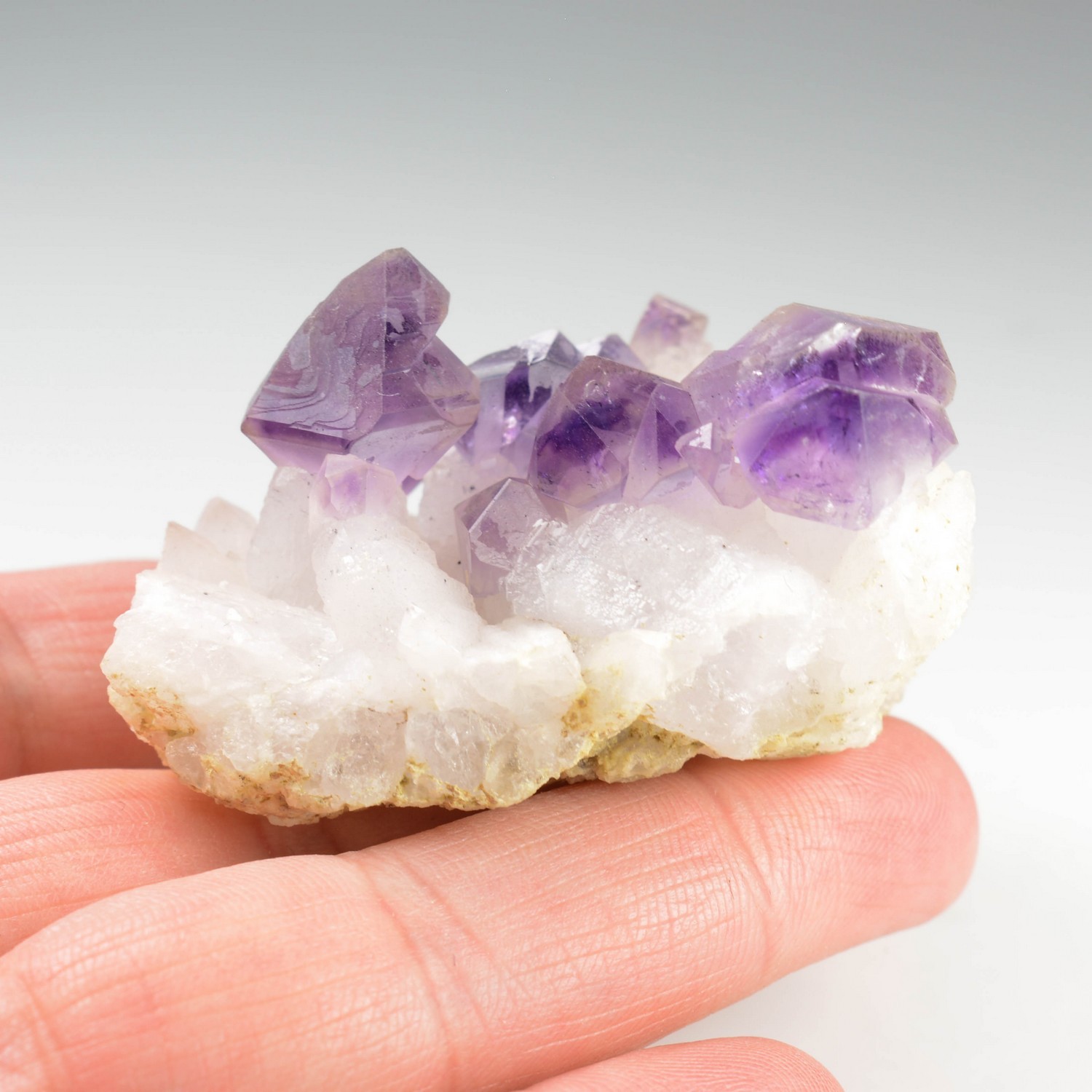 Sceptre amethyst - Marovaolavo, Madagascar