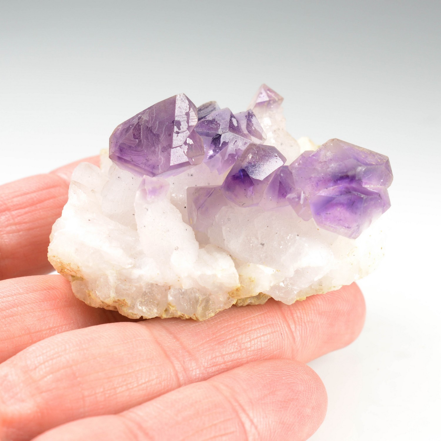 Sceptre amethyst - Marovaolavo, Madagascar
