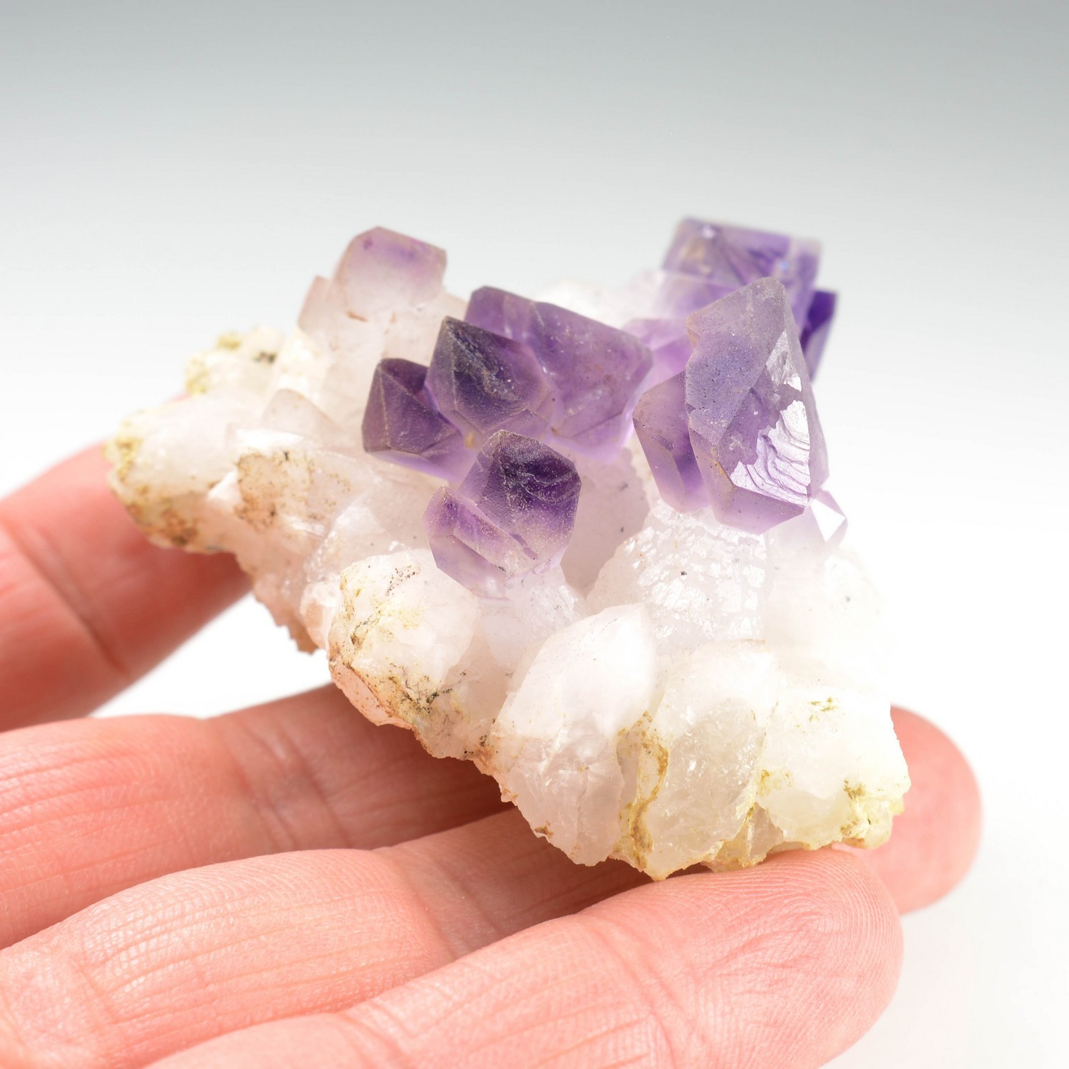 Sceptre amethyst - Marovaolavo, Madagascar