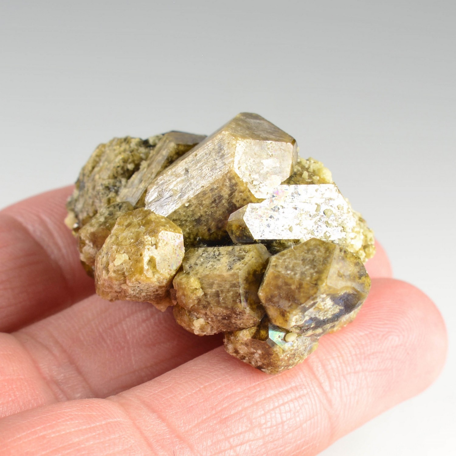 Vésuvianite - Sierra de Cruces, Coahuila, Mexique