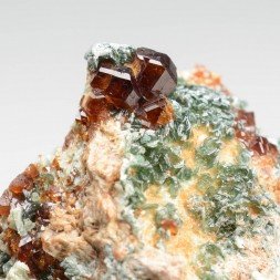 Grenat et clionochlore - Bellecombe, Chatillon, Vallée d'Aoste, Italie