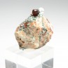 Garnet and clionochlor - Bellecombe, Chatillon, Aosta Valley, Italy