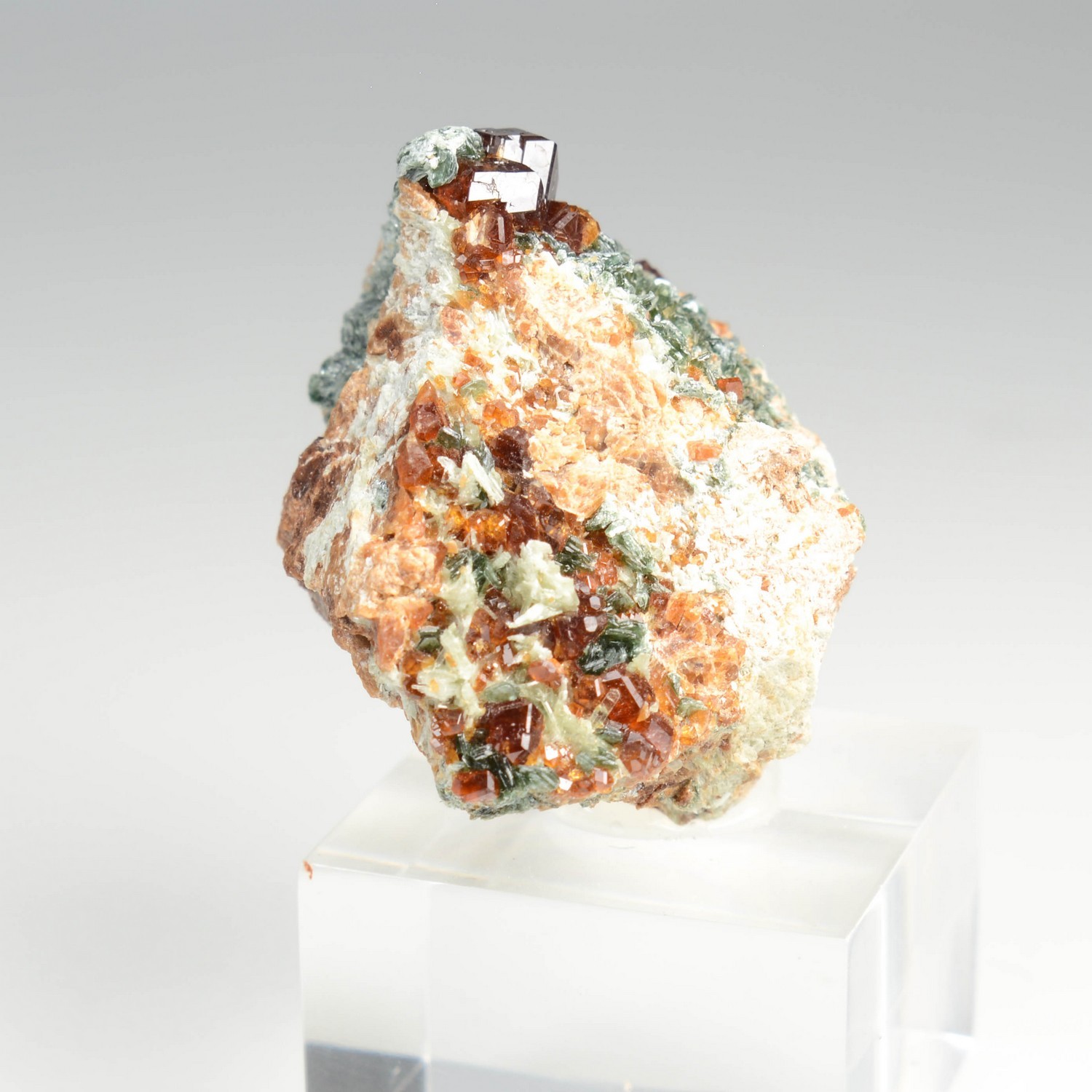 Garnet and clionochlor - Bellecombe, Chatillon, Aosta Valley, Italy