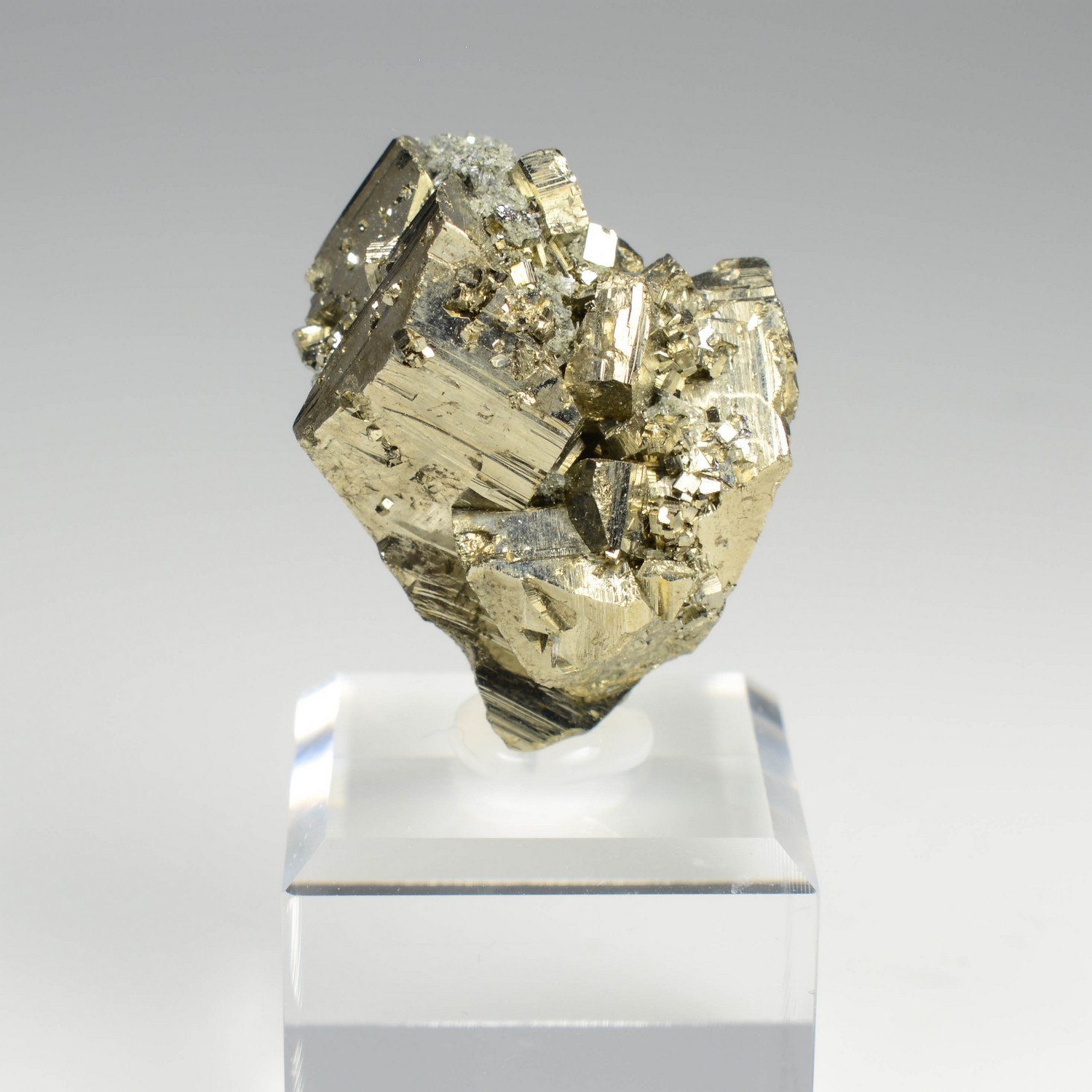 Pyrite rhomboédrique - Mine Borieva, Madan, Bulgarie