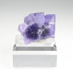 Fluorine - Berbès, Asturies, Espagne