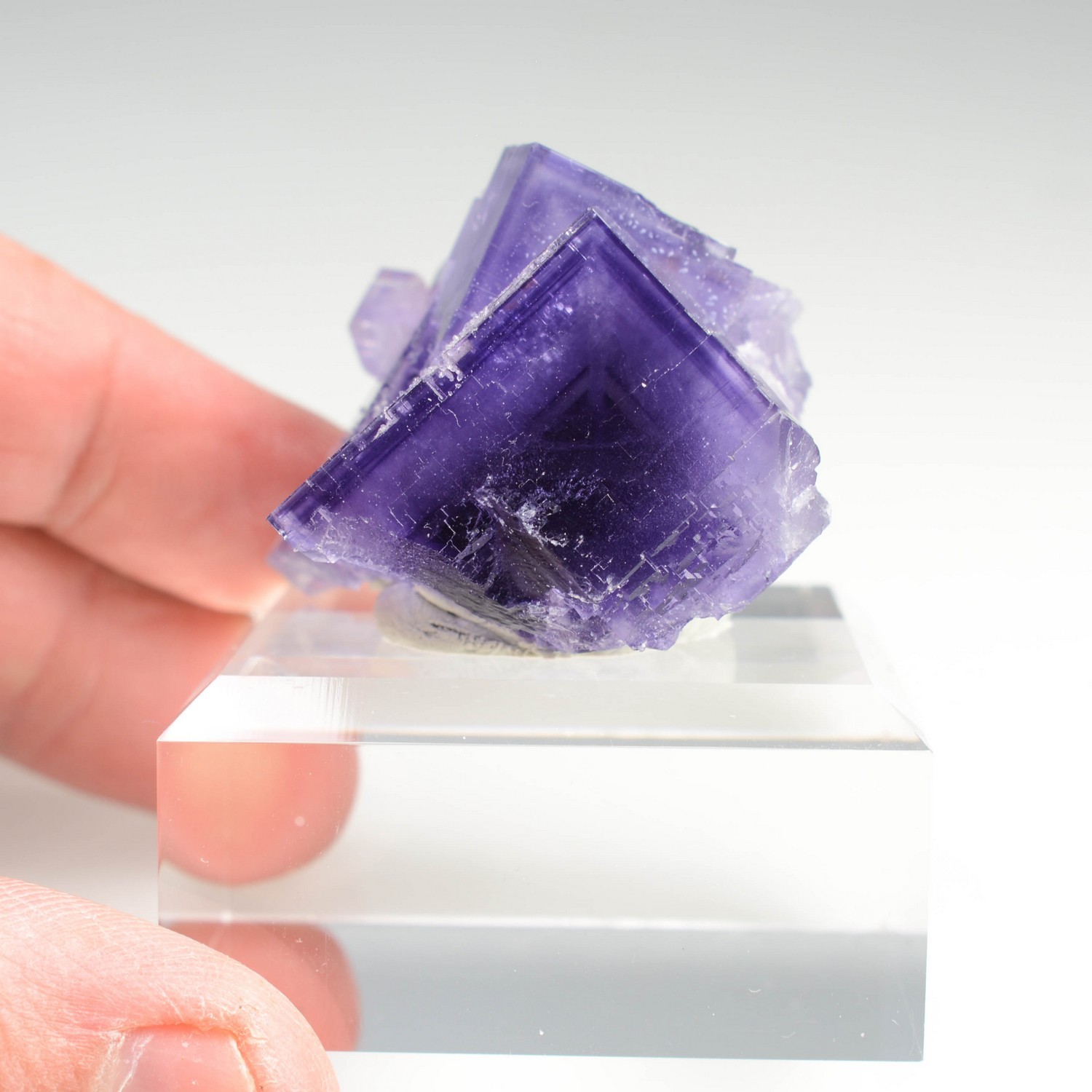 Fluorine - Berbès, Asturies, Espagne