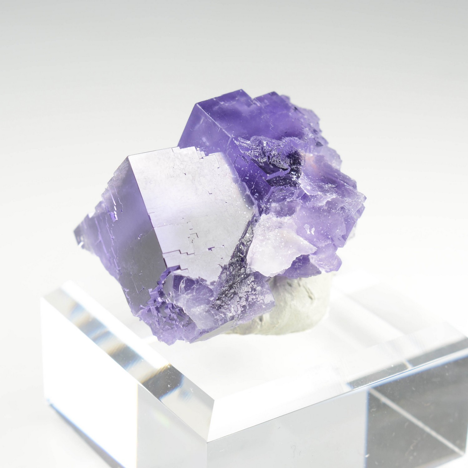 Fluorine - Berbès, Asturies, Espagne