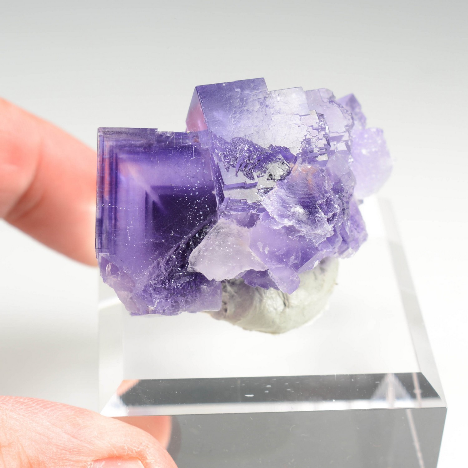 Fluorine - Berbès, Asturies, Espagne