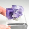 Fluorine - Berbès, Asturies, Espagne