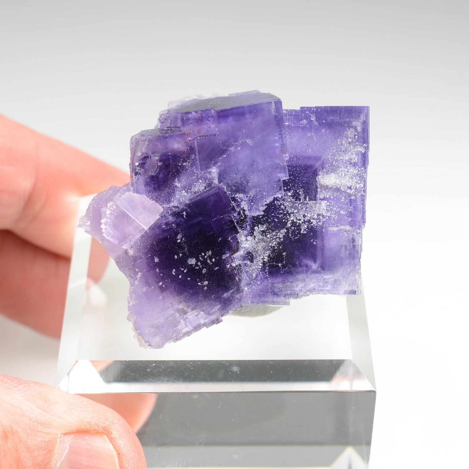 Fluorine - Berbès, Asturies, Espagne
