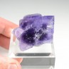 Fluorine - Berbès, Asturies, Espagne