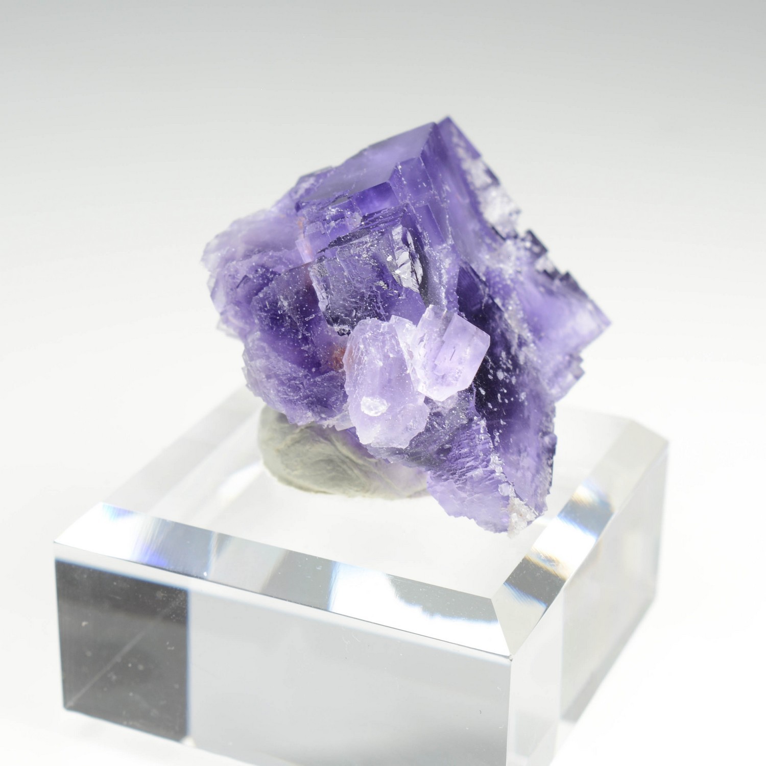 Fluorine - Berbès, Asturies, Espagne