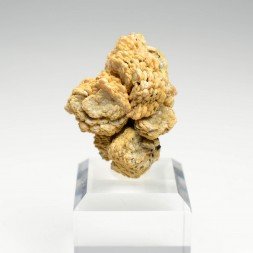 Vanadinite, phosphohedyphane - Taouz, Maroc