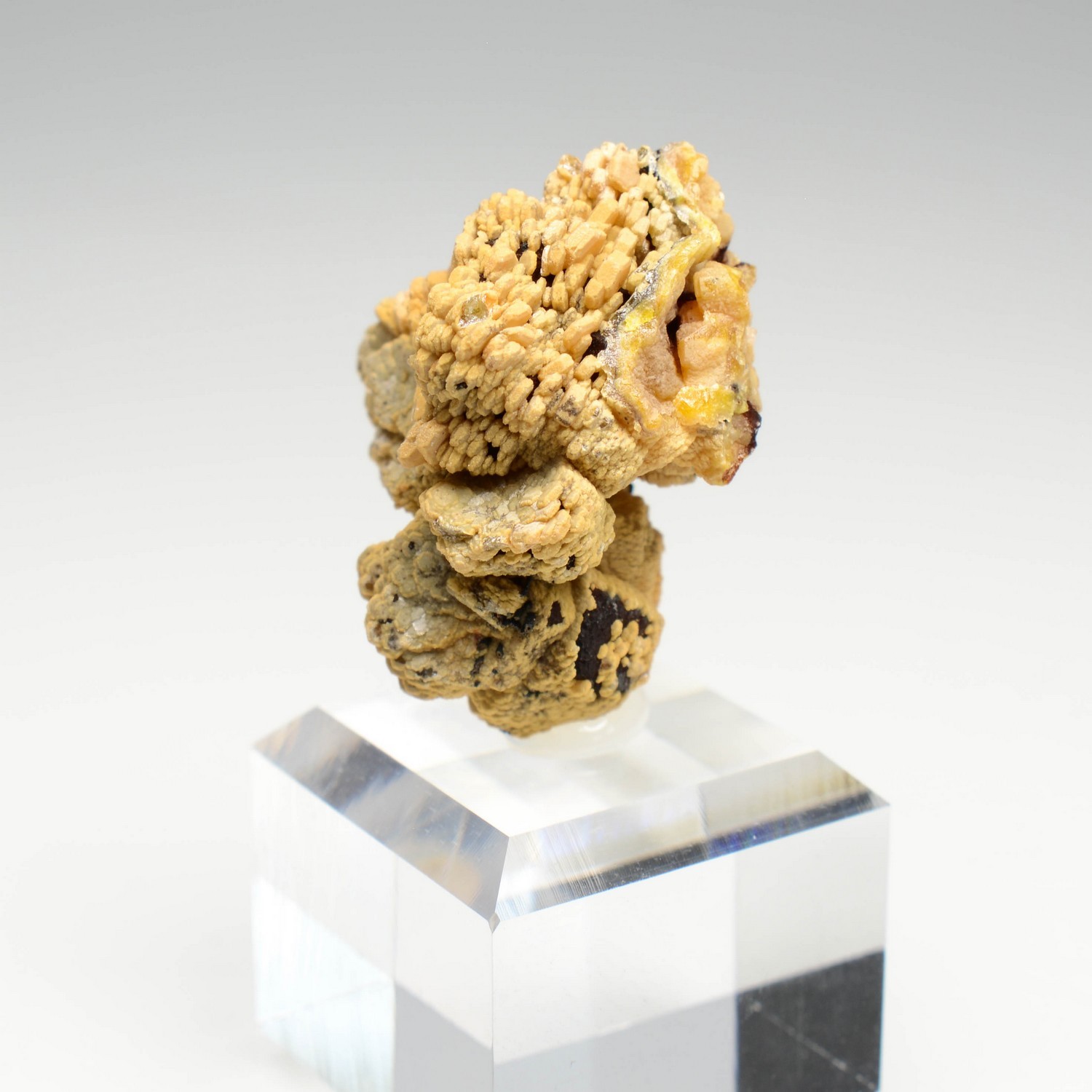 Vanadinite, phosphohedyphane - Taouz, Maroc