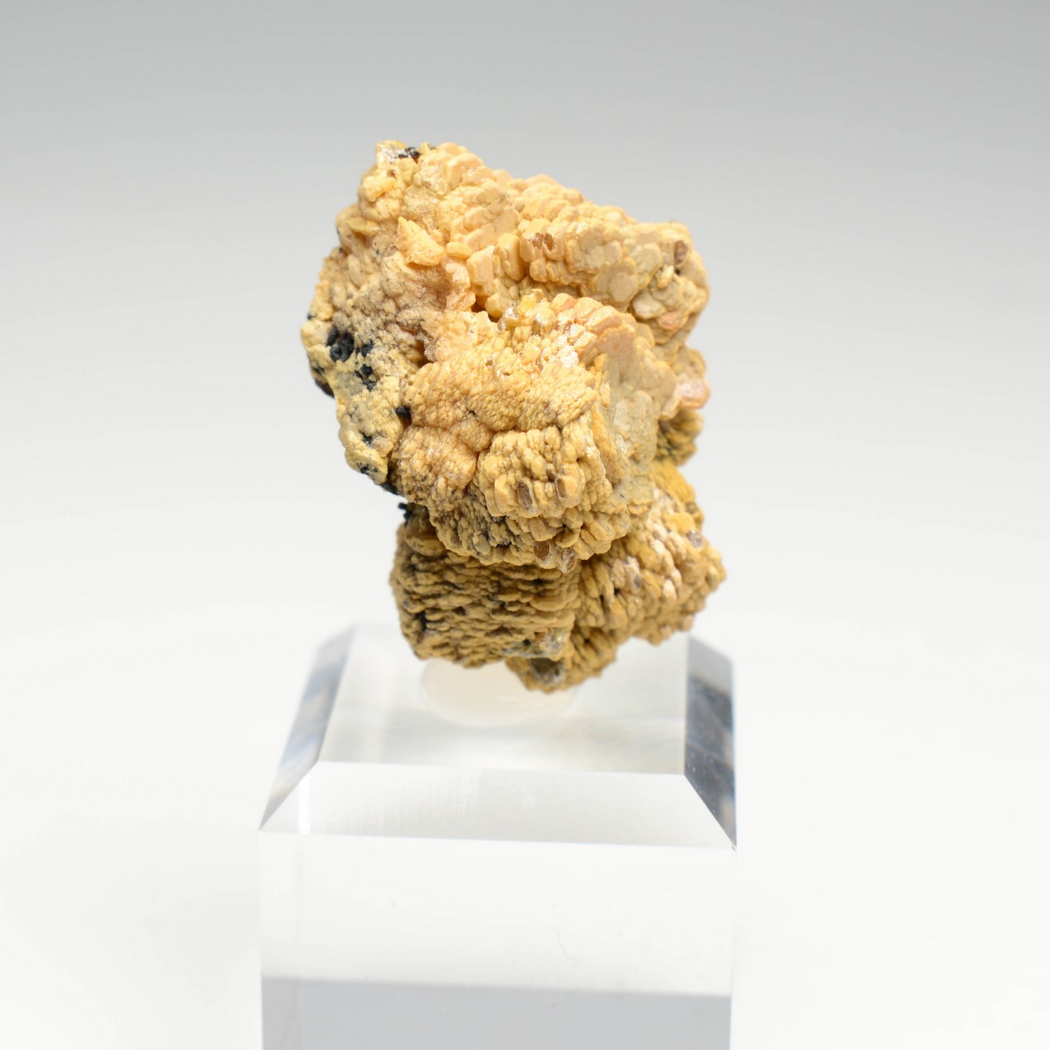 Vanadinite, phosphohedyphane - Taouz, Maroc
