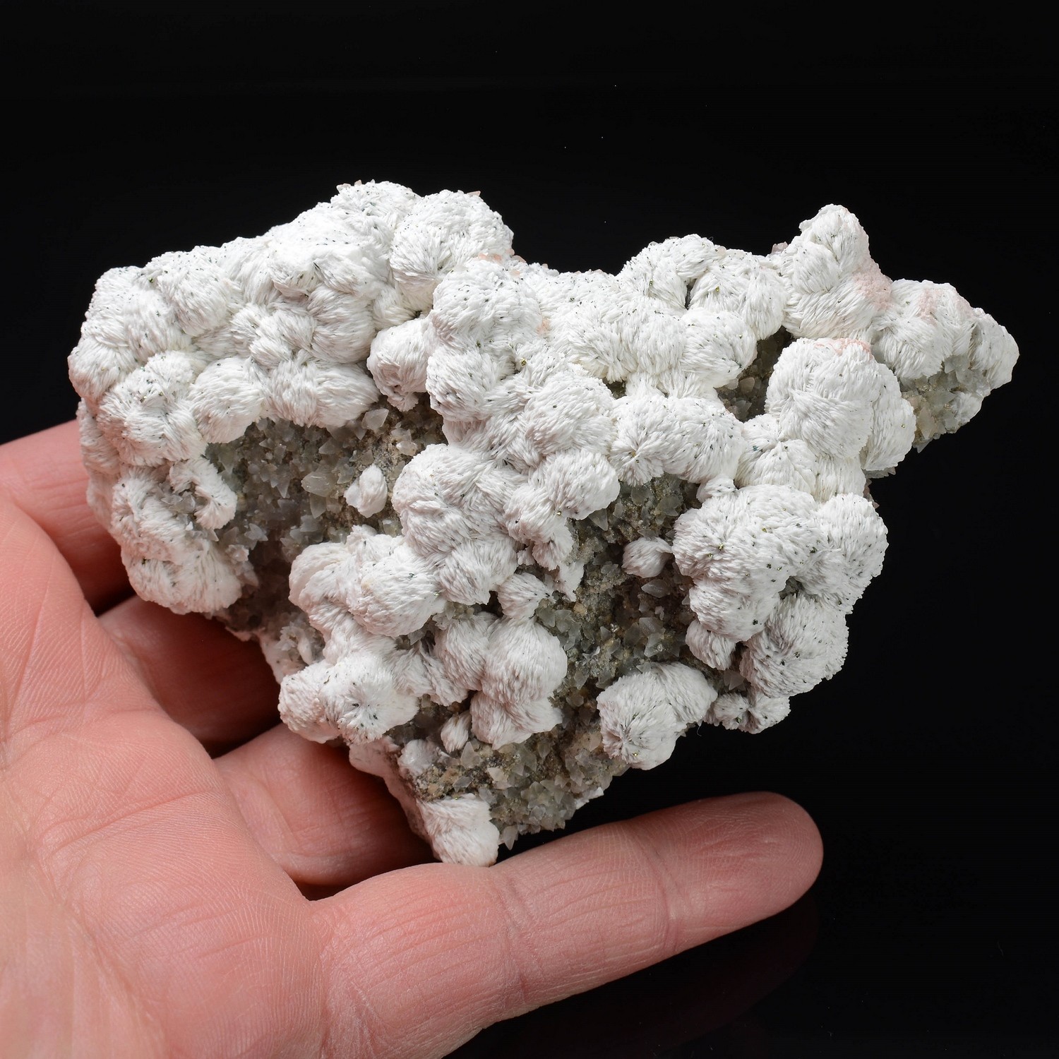 Calcite rose et chalcopyrite sur barytine - Cuzac, Lot, France