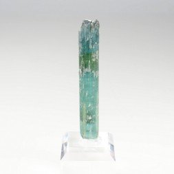 Tourmaline elbaite var.indicolite - Mine Santa Rosa, Itambacuri, Minas Gerais, Brésil