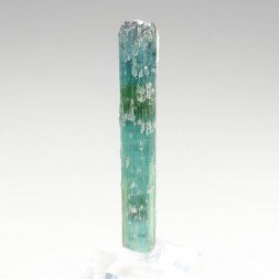 Tourmaline elbaite var.indicolite - Santa Rosa Mine, Itambacuri, Minas Gerais, Brazil