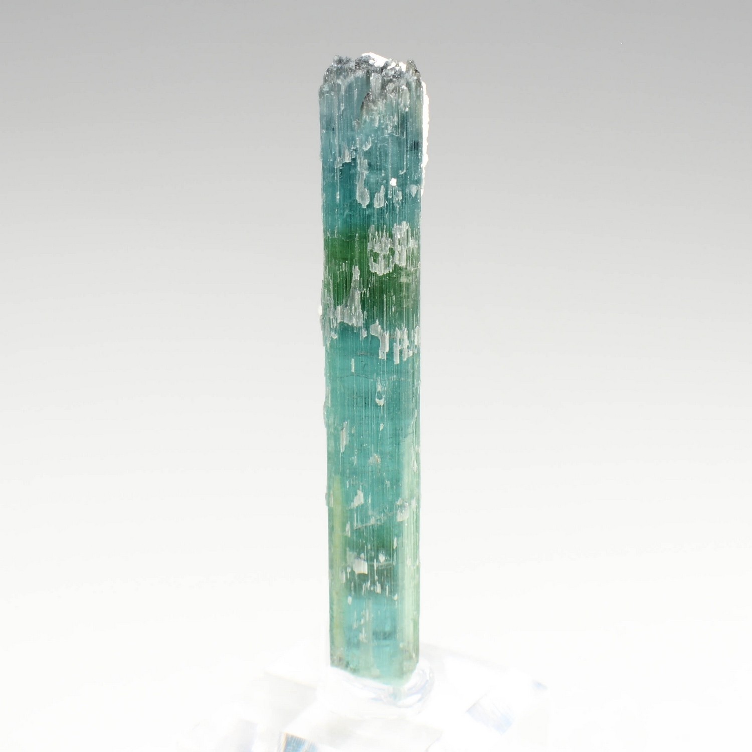 Tourmaline elbaite var.indicolite - Mine Santa Rosa, Itambacuri, Minas Gerais, Brésil