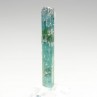 Tourmaline elbaite var.indicolite - Mine Santa Rosa, Itambacuri, Minas Gerais, Brésil