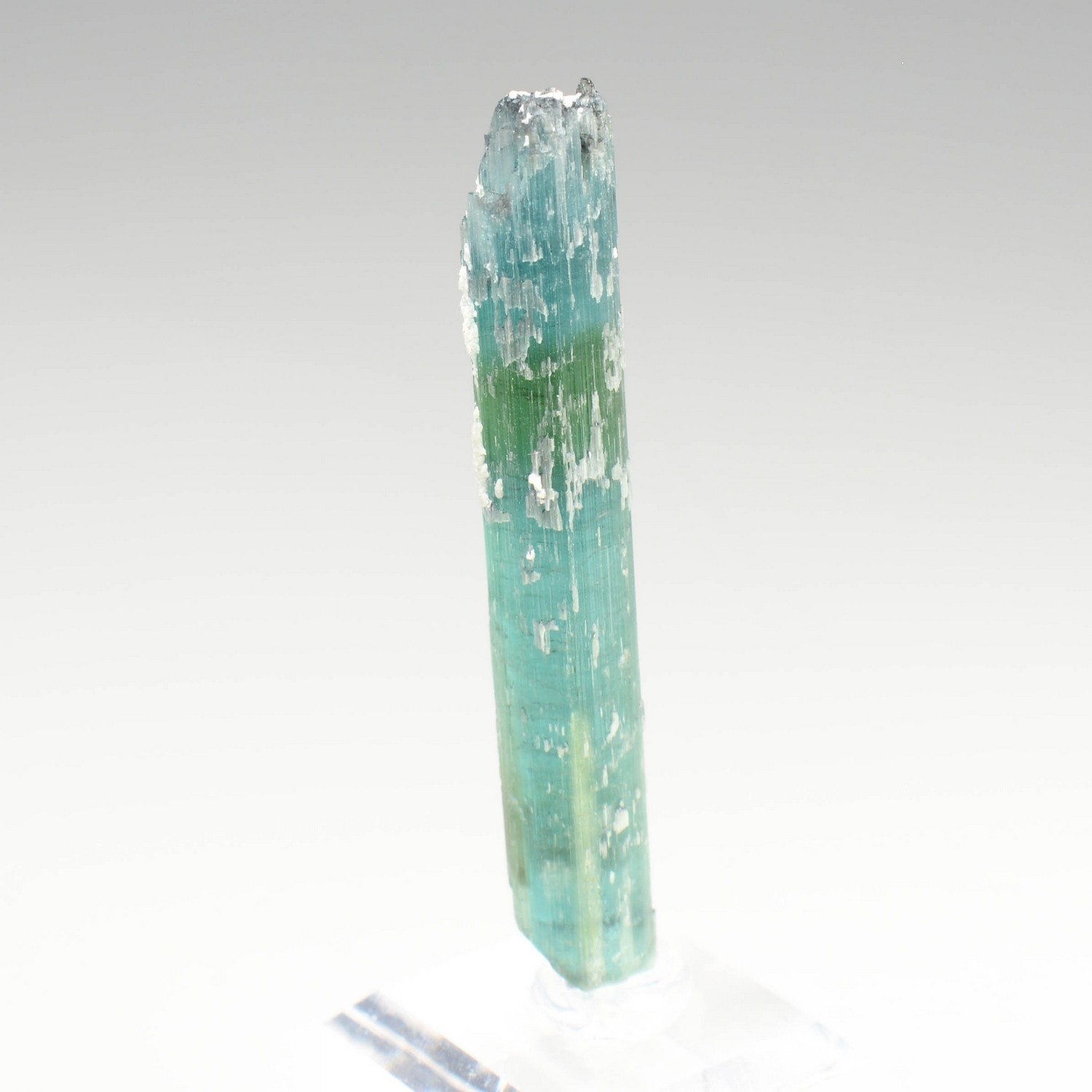 Tourmaline elbaite var.indicolite - Mine Santa Rosa, Itambacuri, Minas Gerais, Brésil