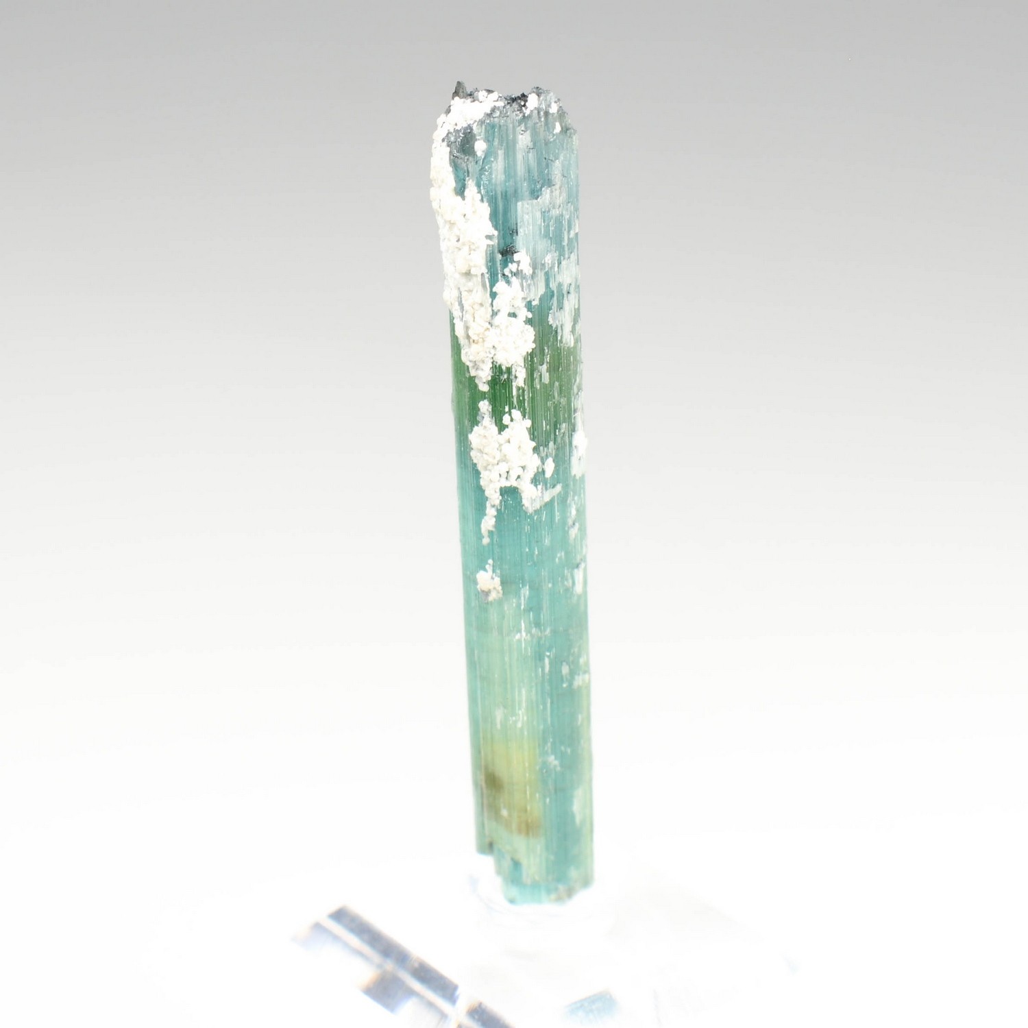 Tourmaline elbaite var.indicolite - Santa Rosa Mine, Itambacuri, Minas Gerais, Brazil