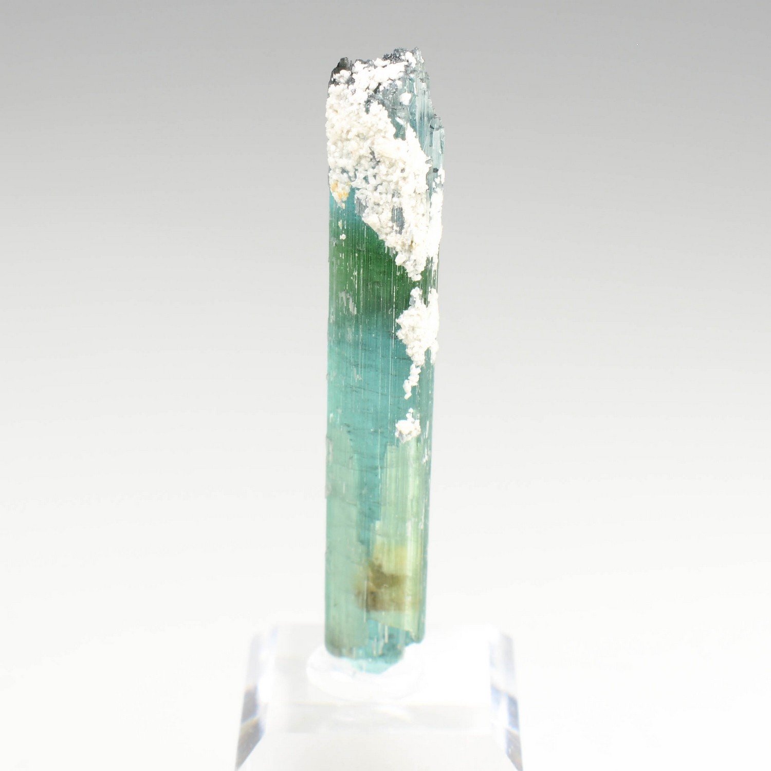 Tourmaline elbaite var.indicolite - Mine Santa Rosa, Itambacuri, Minas Gerais, Brésil