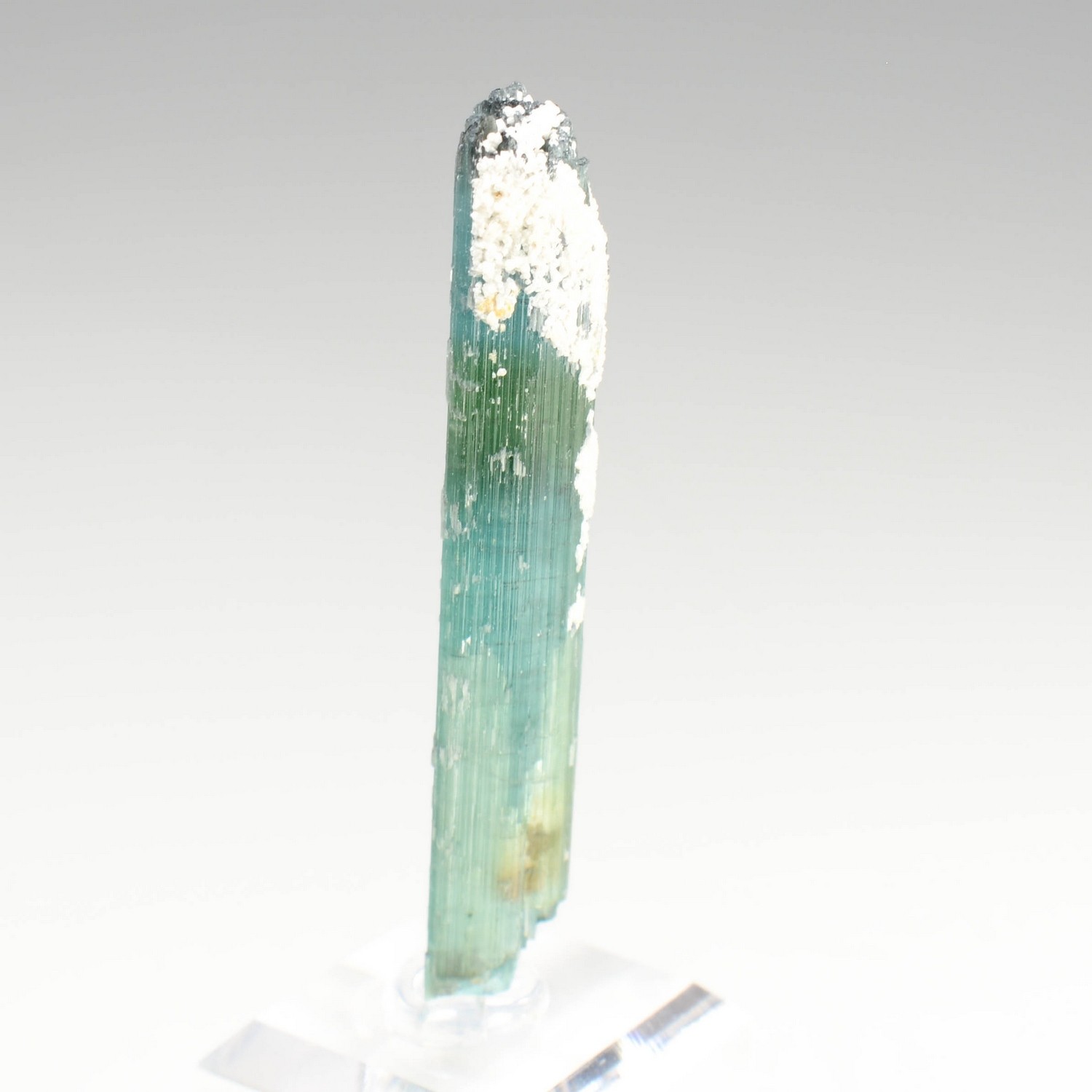Tourmaline elbaite var.indicolite - Mine Santa Rosa, Itambacuri, Minas Gerais, Brésil
