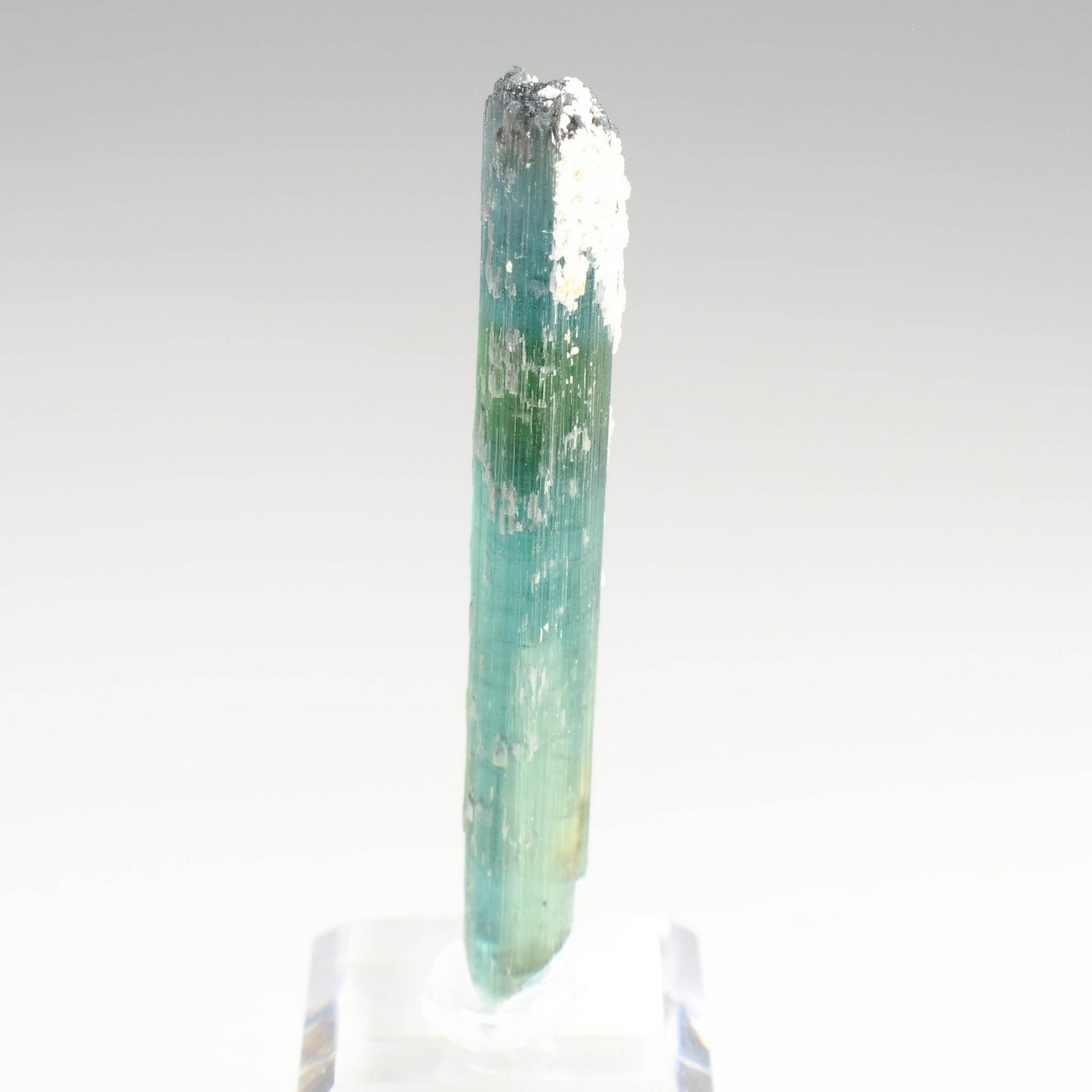 Tourmaline elbaite var.indicolite - Mine Santa Rosa, Itambacuri, Minas Gerais, Brésil