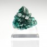 Dioptase et microquartz - Brazzaville, République du Congo