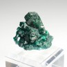 Dioptase et microquartz - Brazzaville, République du Congo