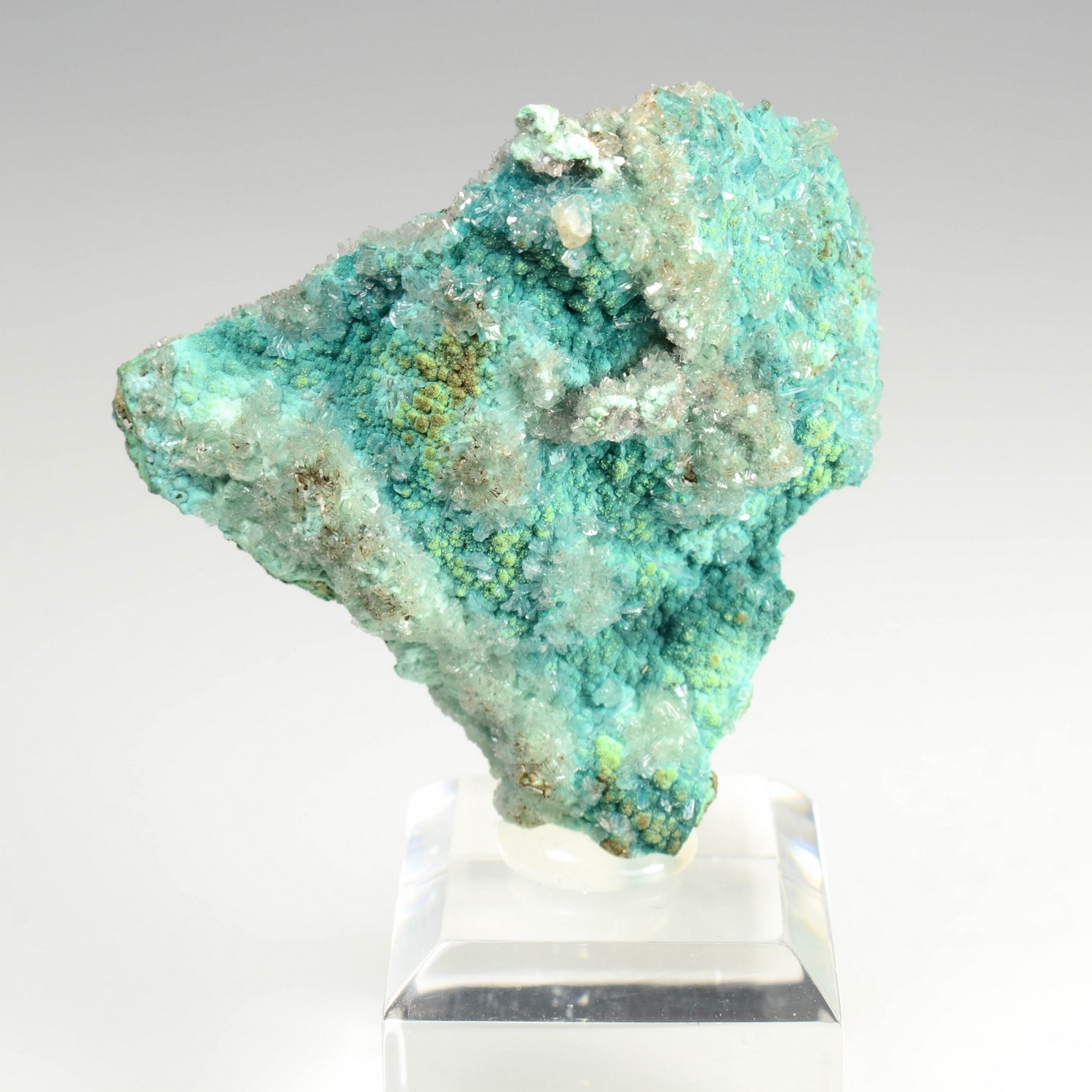 Rosasite, conichalcite, hémimorphite - Mine Ojuela, Mapimi, Durango, Mexique