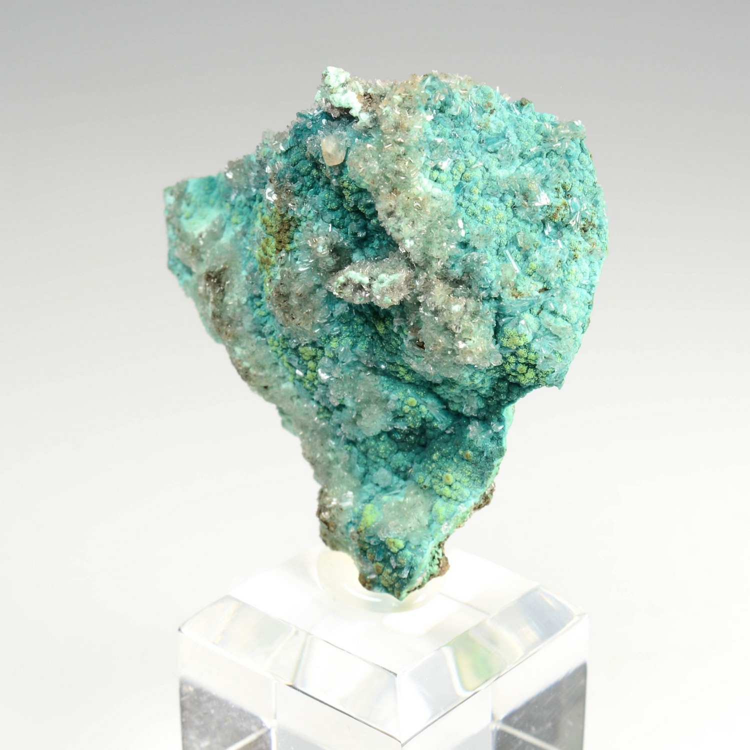 Rosasite, conichalcite, hémimorphite - Mine Ojuela, Mapimi, Durango, Mexique