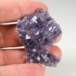 Fluorite - Saint Peray, Ardèche, France