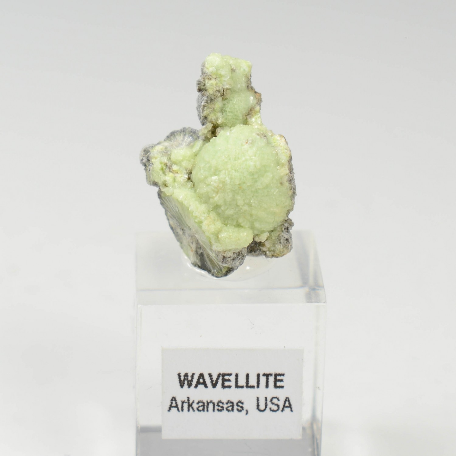 Wavellite - Mauldin, Arkansas, Etats-Unis