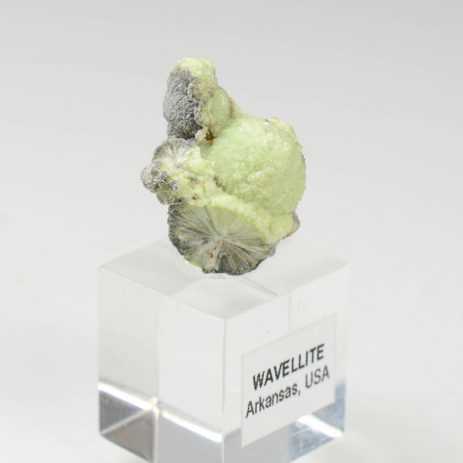 Wavellite - Mauldin, Arkansas, Etats-Unis