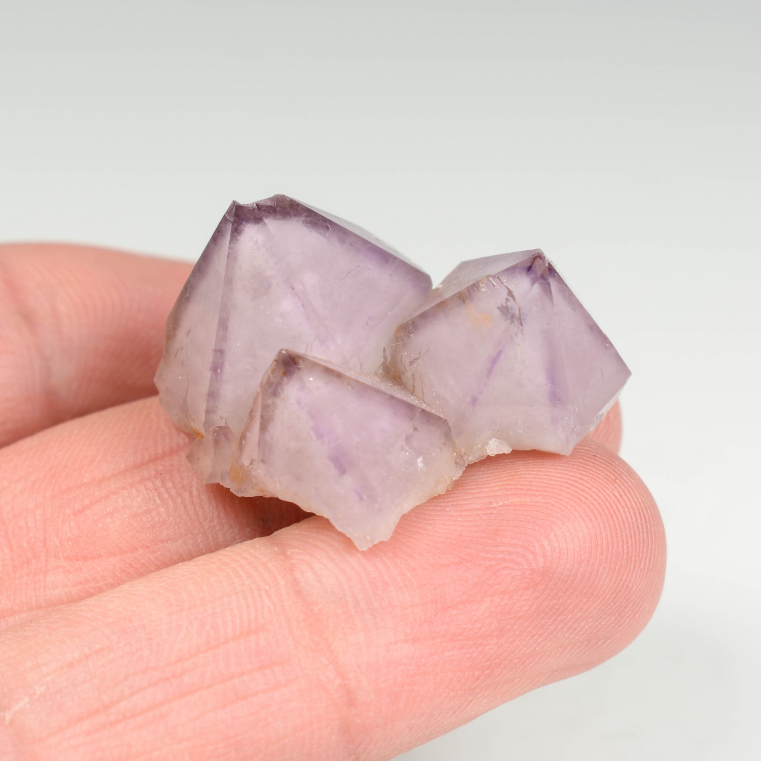 Amethyst - Les Rioux de la Barre, Puy-de-Dôme, France